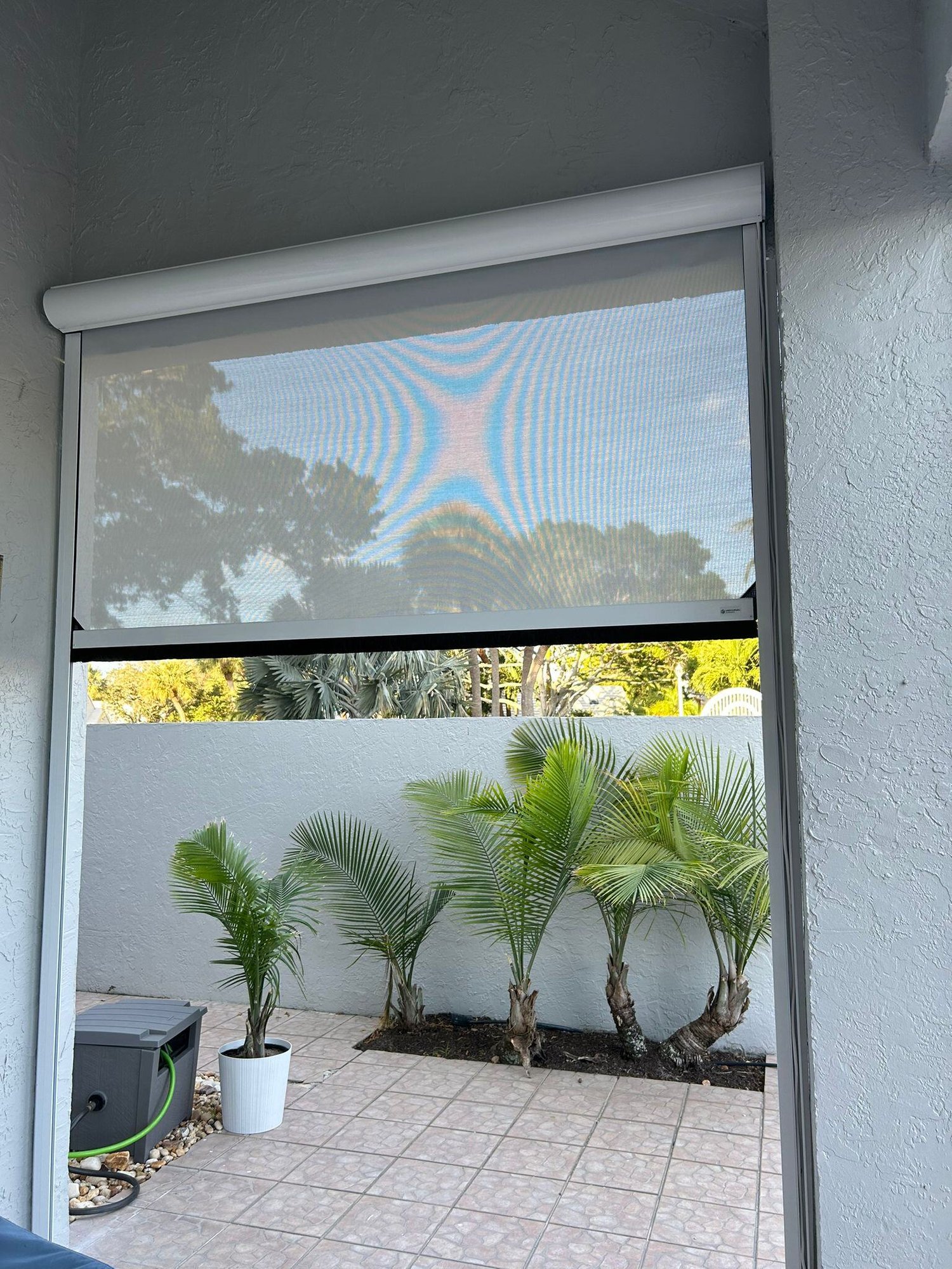 WhatsApp Image 2025-02-12 at 19.57.44_95a8ae44